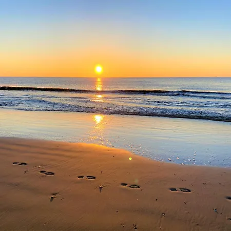 Moana2 Egmond aan Zee