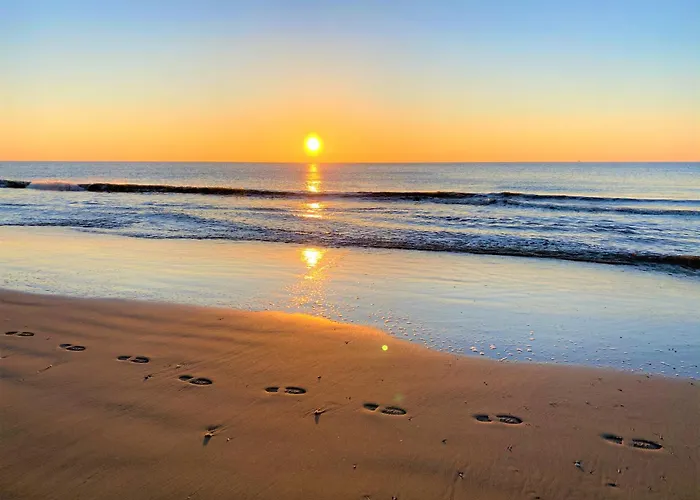 Moana2 Egmond aan Zee